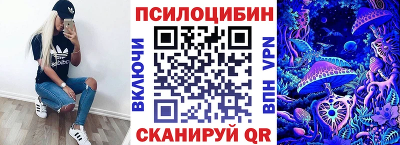 Псилоцибиновые грибы Cubensis Саяногорск