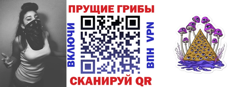 Купить  Саяногорск  Псилоцибиновые грибы Psilocybine cubensis 